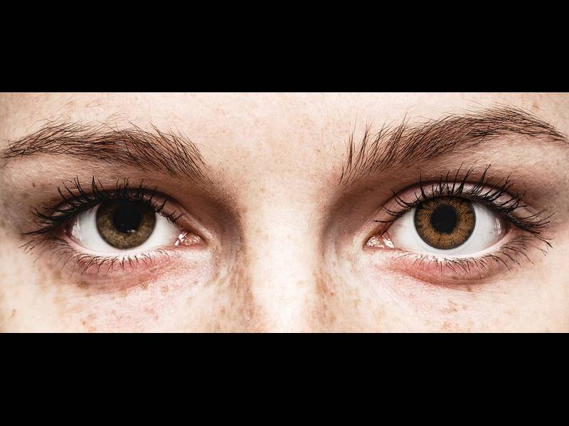 ColourVue One Day TruBlends Hazel - met sterkte (10 lenzen)