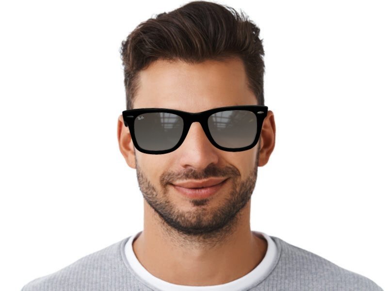 lunettes ray ban wayfarer homme